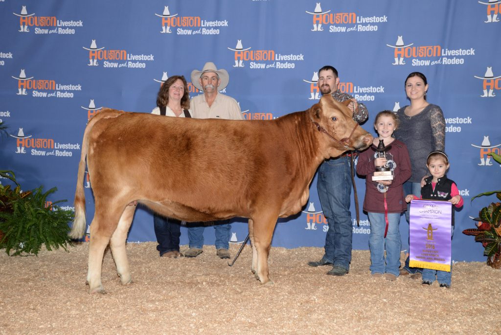 2016 Grand Champion Red Wagyu Heifer