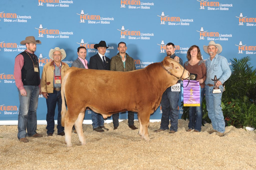 2017 Grand Champion Red Wagyu Bull